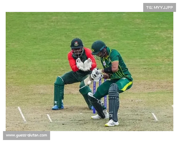 中国板球联赛志愿者参与板球与全球化专业培训促进体育文化交流与发展 中国板球联赛志愿者参与板球与全球化专业培训促进体育文化交流与发展